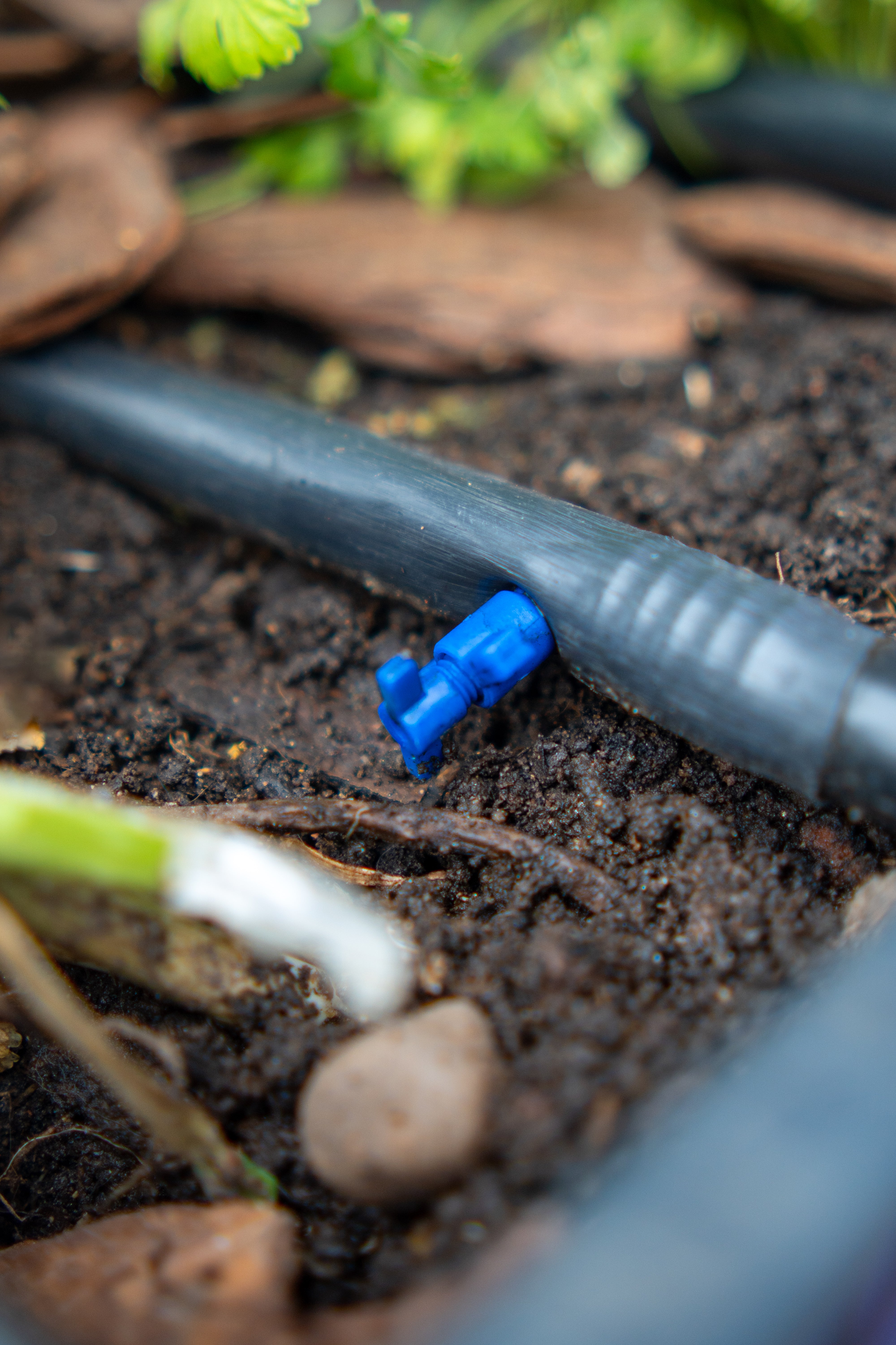 Horta com irrigação automática