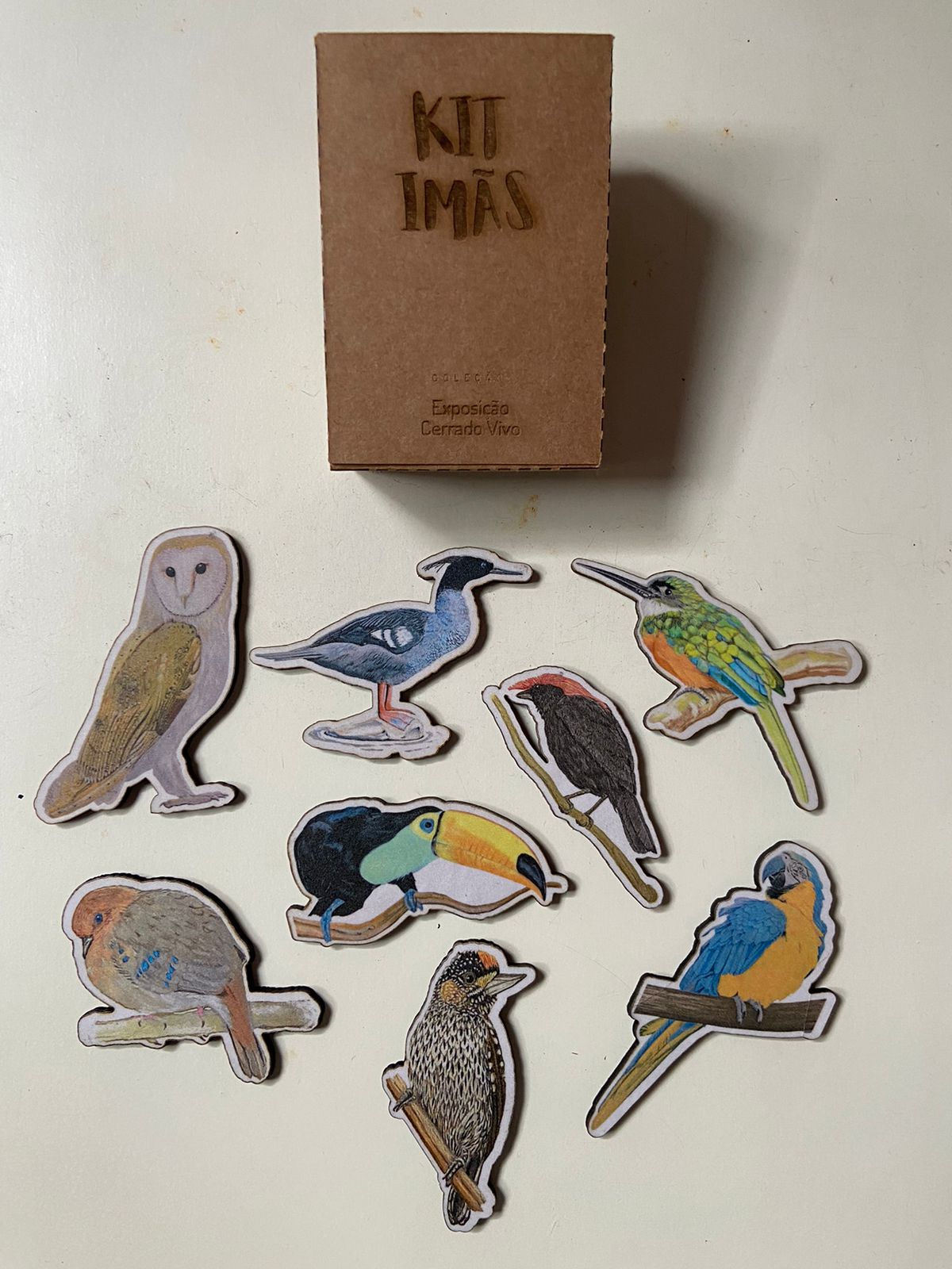 Kit imãs de geladeira - Aves do Bioma Cerrado