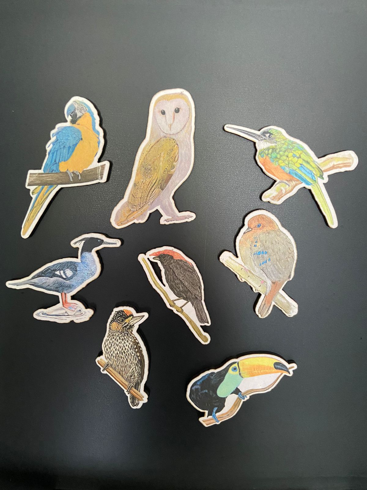 Kit imãs de geladeira - Aves do Bioma Cerrado