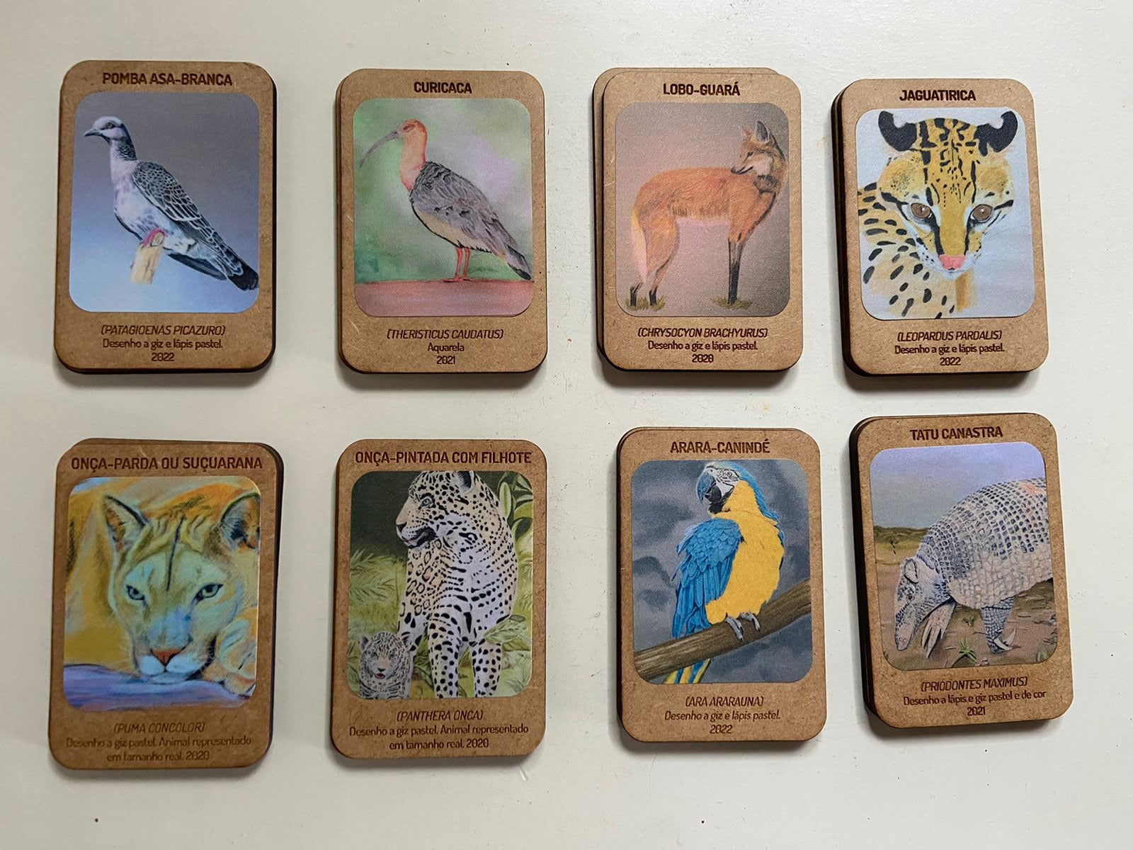 Jogo de Memória - Fauna do Bioma Cerrado