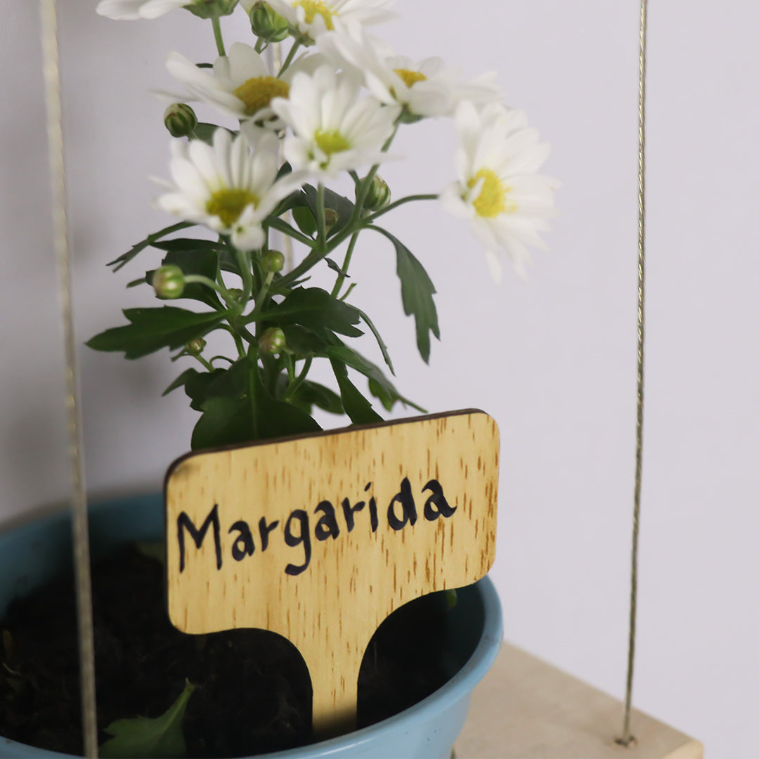 5 Plaquinhas identificadoras de plantas