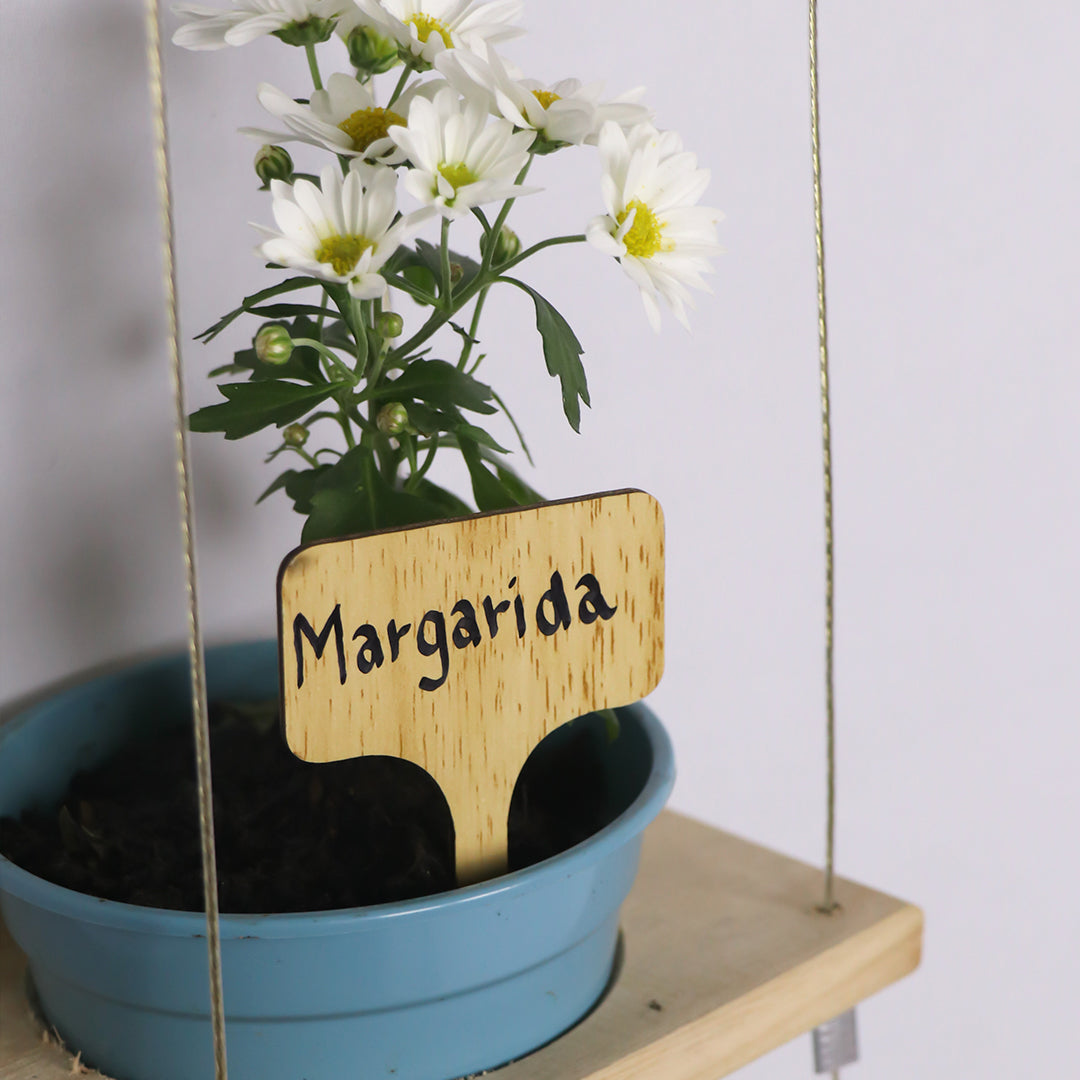 5 Plaquinhas identificadoras de plantas