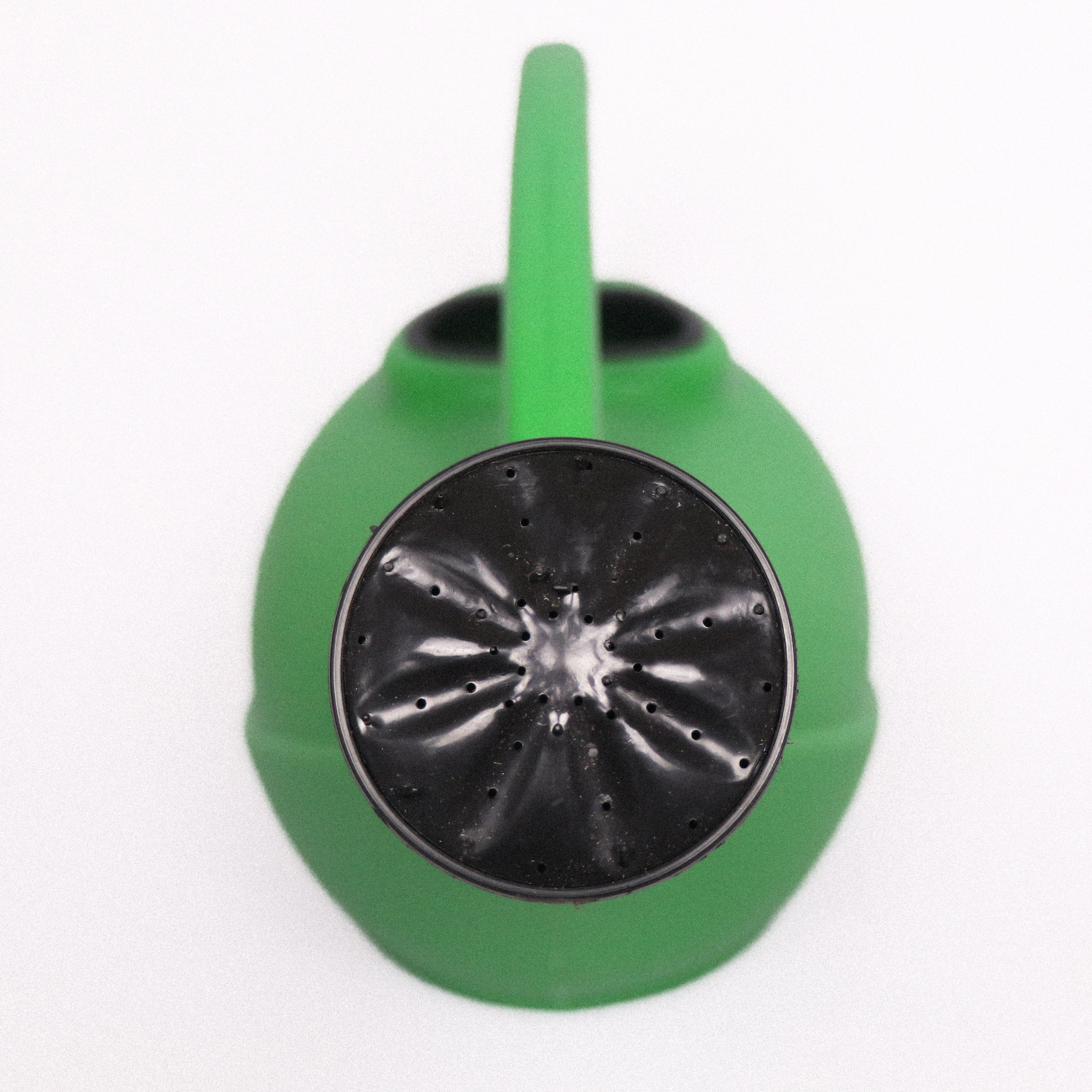 Regador Plástico 6L Para Jardinagem Com Bico - Verde